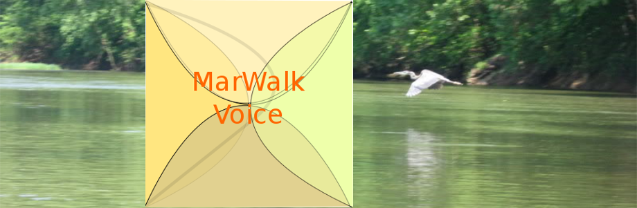 MarWalk Voice